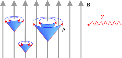 Princip magnetické spinové rezonance