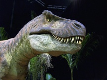 Animatronická hlava T. Rexe použitá ve filmu Jurský park 