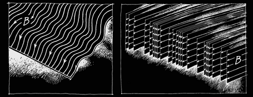 Alfvénova a kompresní vlna