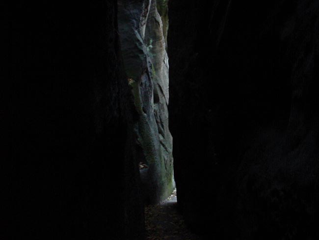 DSC05896