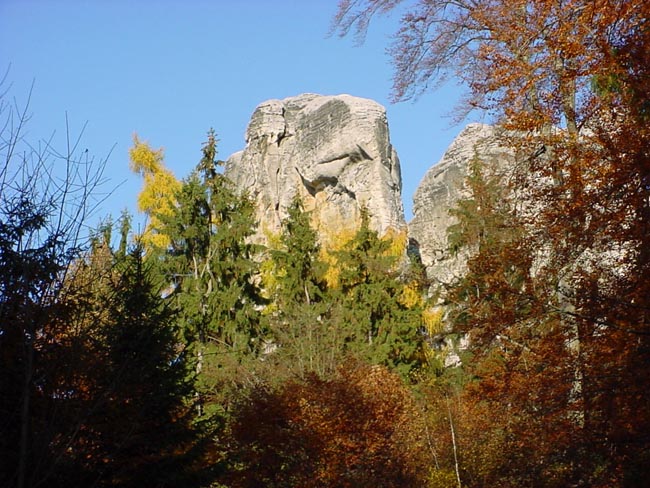 DSC05901