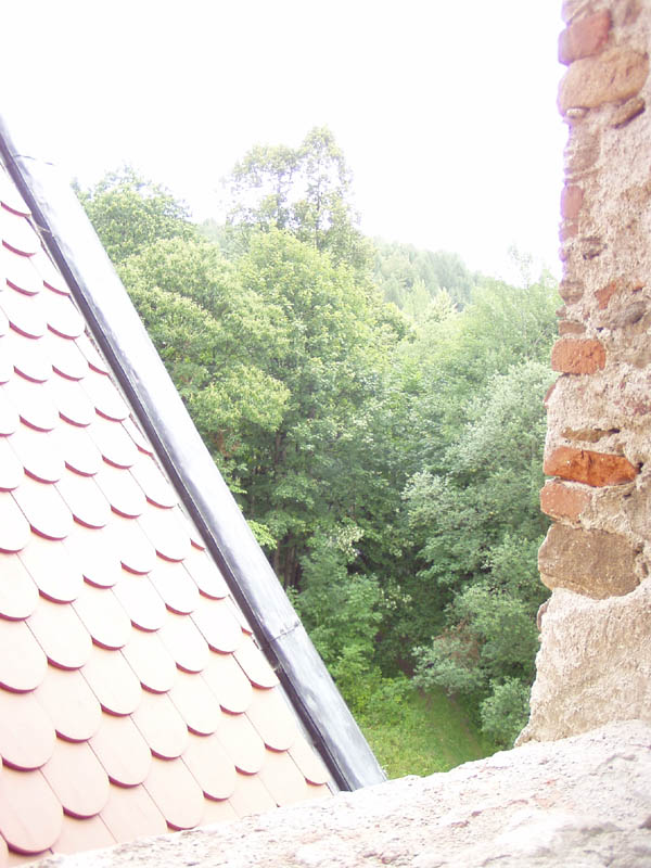 67.jpg