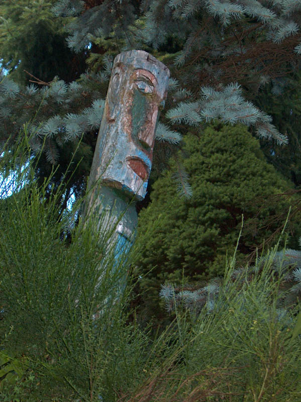 04.jpg