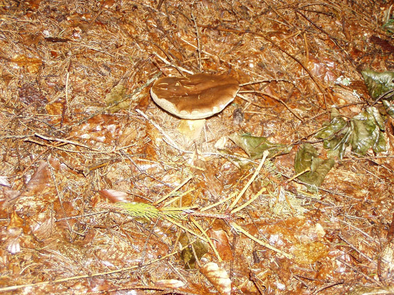 57.jpg