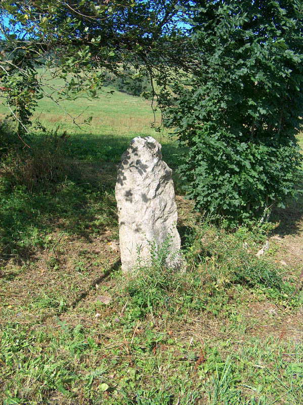 02.jpg