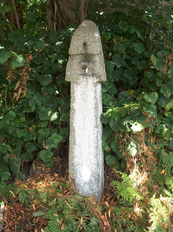 03.jpg
