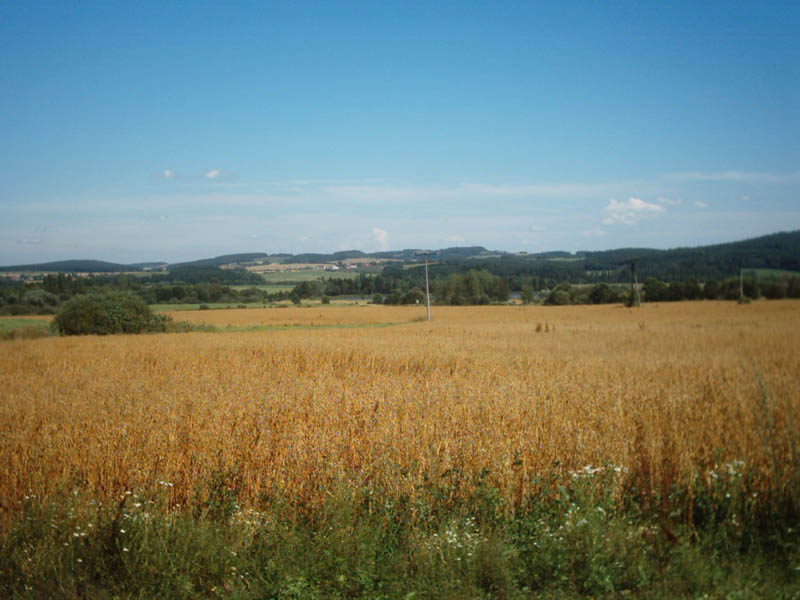 67.jpg