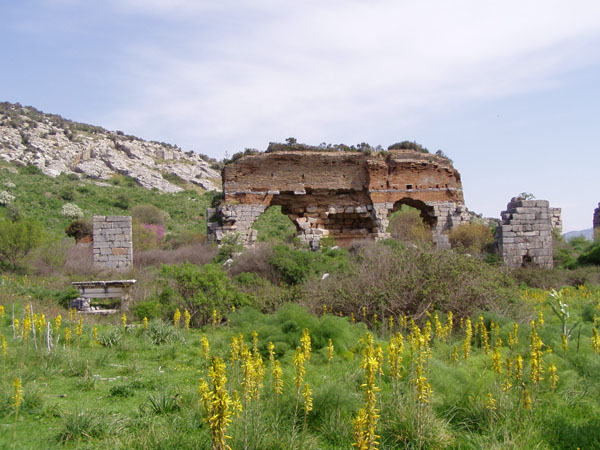 efesos_0029