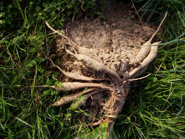 nature_0024