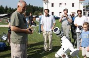 IMG_8235