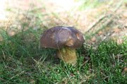 IMG_8317