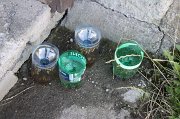 IMG_8502