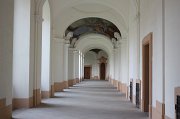 IMG_0781
