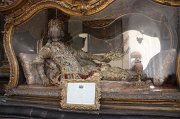 IMG_0832