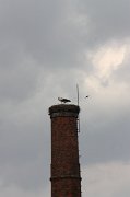 IMG_0843