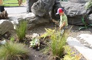 IMG_0867