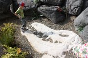 IMG_0868