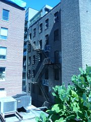 NY_var_42