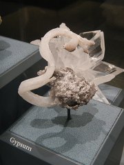 NatHist_02