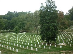 Arlington_07