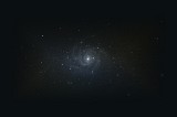 M101