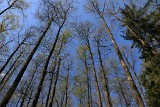 IMG_1294