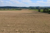 IMG_1297
