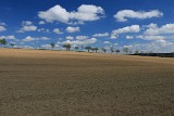 IMG_1308