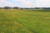 IMG_1309