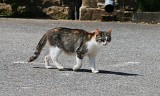IMG_1318
