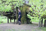 IMG_1337