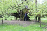 IMG_1338
