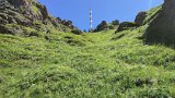 IMG_20230715_124710