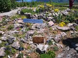 IMG_20230715_131600