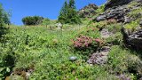 IMG_20230715_135209