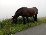 IMG_20230716_080814