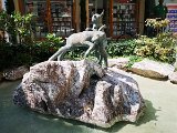 IMG_20230717_114846