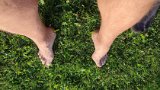 IMG_20230714_201807