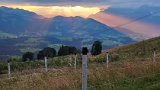 IMG_20230717_203254