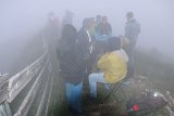 IMG_0129