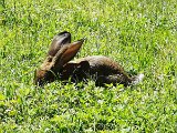 IMG_20230715_112755