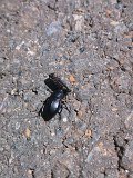 IMG_20230715_113046