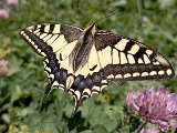 IMG_20230715_113703