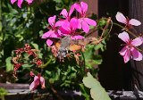 IMG_20230715_114540