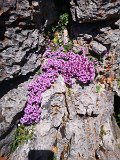 IMG_20230715_132851