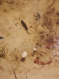 IMG_20230715_133109