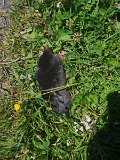 IMG_20230715_135945
