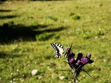 IMG_20230715_165557