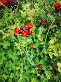 IMG_20230716_083929