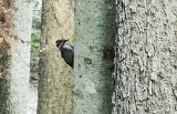 IMG_20230716_093737